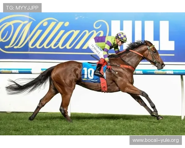 WilliamHill威廉希尔在线娱乐体验指南让你轻松享受高品质的游戏乐趣